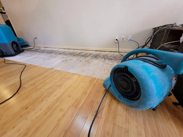 Professional Structural Drying technician working in Signal Hill, CA